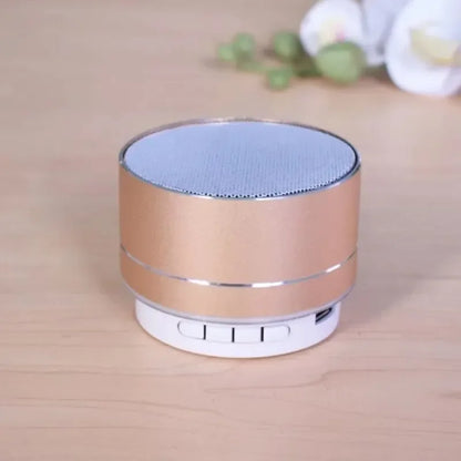Mini Speaker
